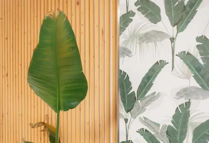 アパート Tiny Gem - 2br - Relax バレンシア