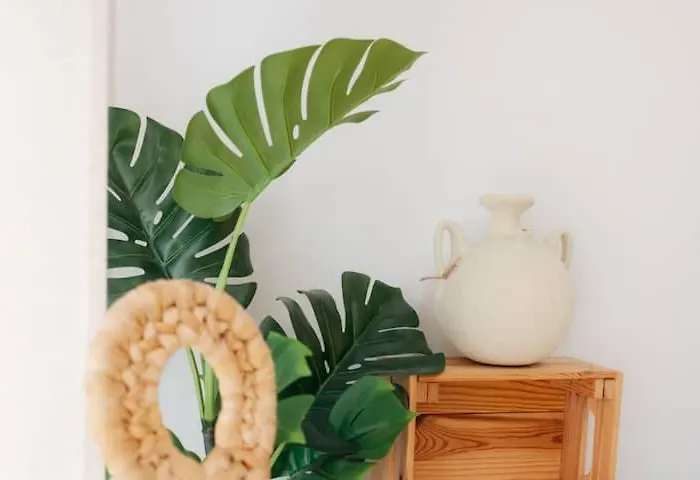 Tiny Gem - 2br - Relax * Valencia